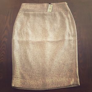 Express zip skirt